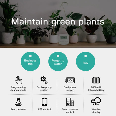 Automatic plant watering system features.