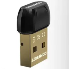 Black and gold USB Bluetooth adapter.
