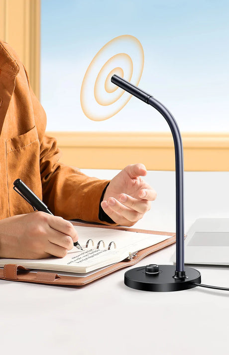Black gooseneck desk lamp.