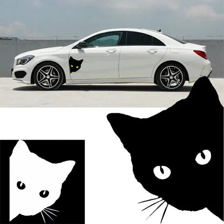 there is a black cat that is sitting next to a white car