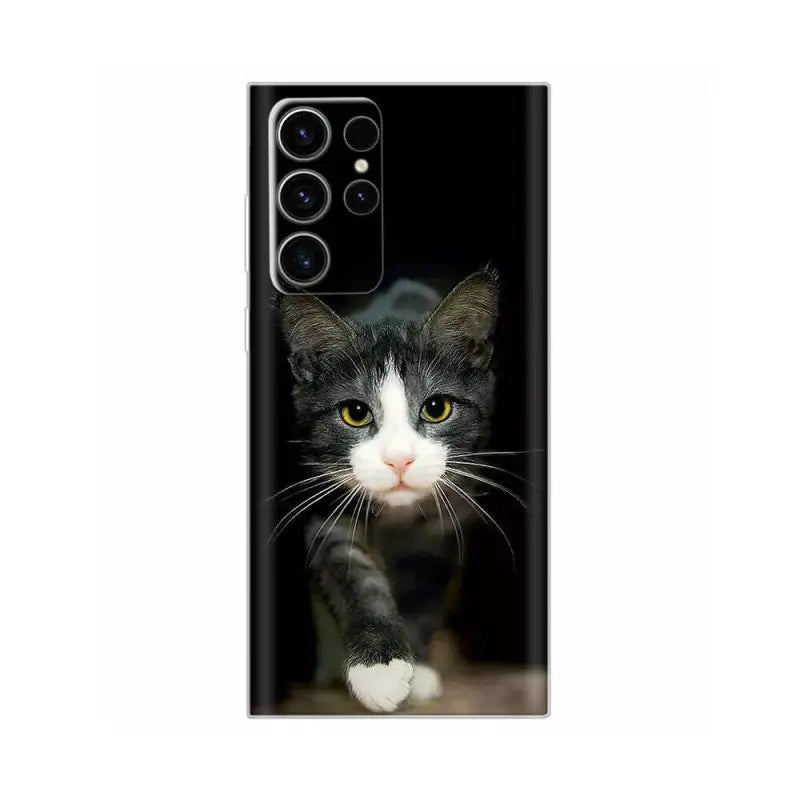 a black and white cat with yellow eyes on a black background