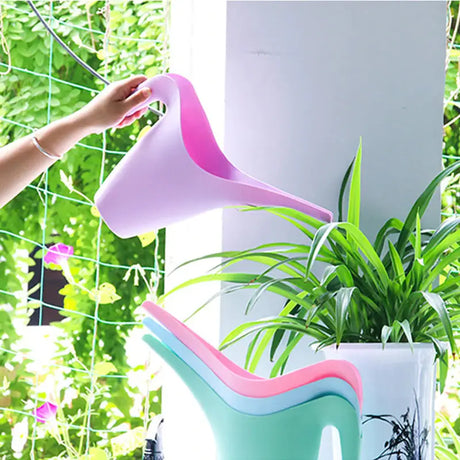 a person is watering a plant in a pot