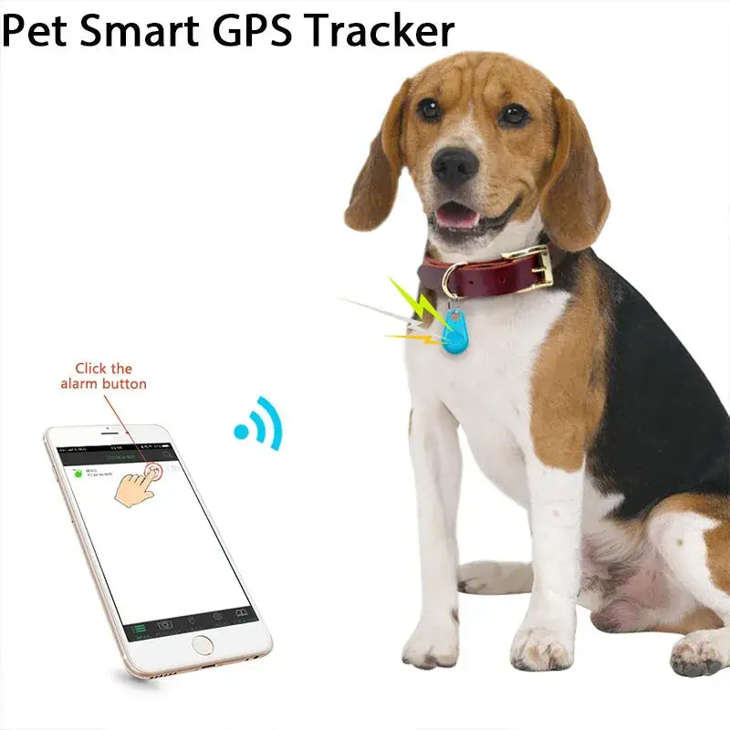 A dog with a smart collar and a smart phone