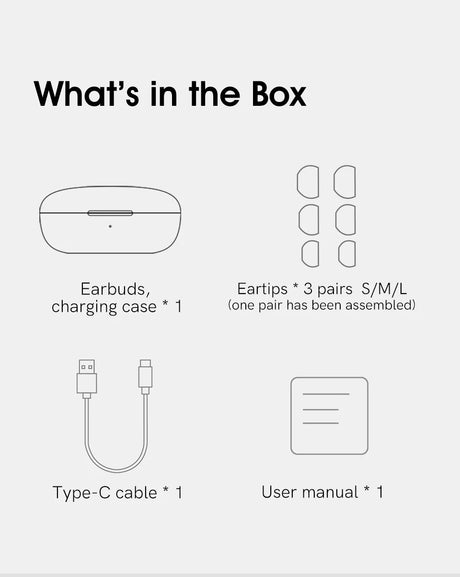Earbuds and accessories.