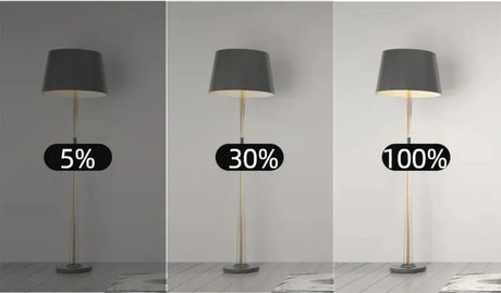 Floor lamp with adjustable brightness.
