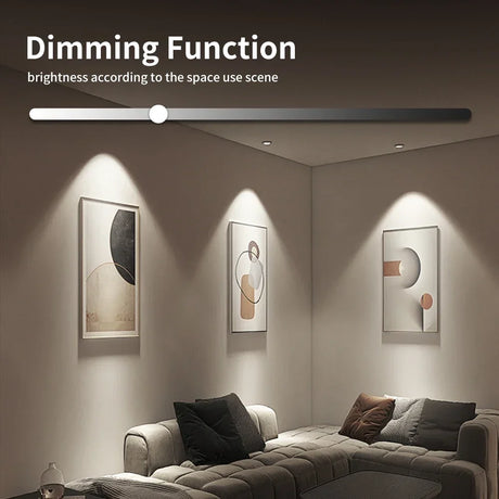 Dimming function lighting.