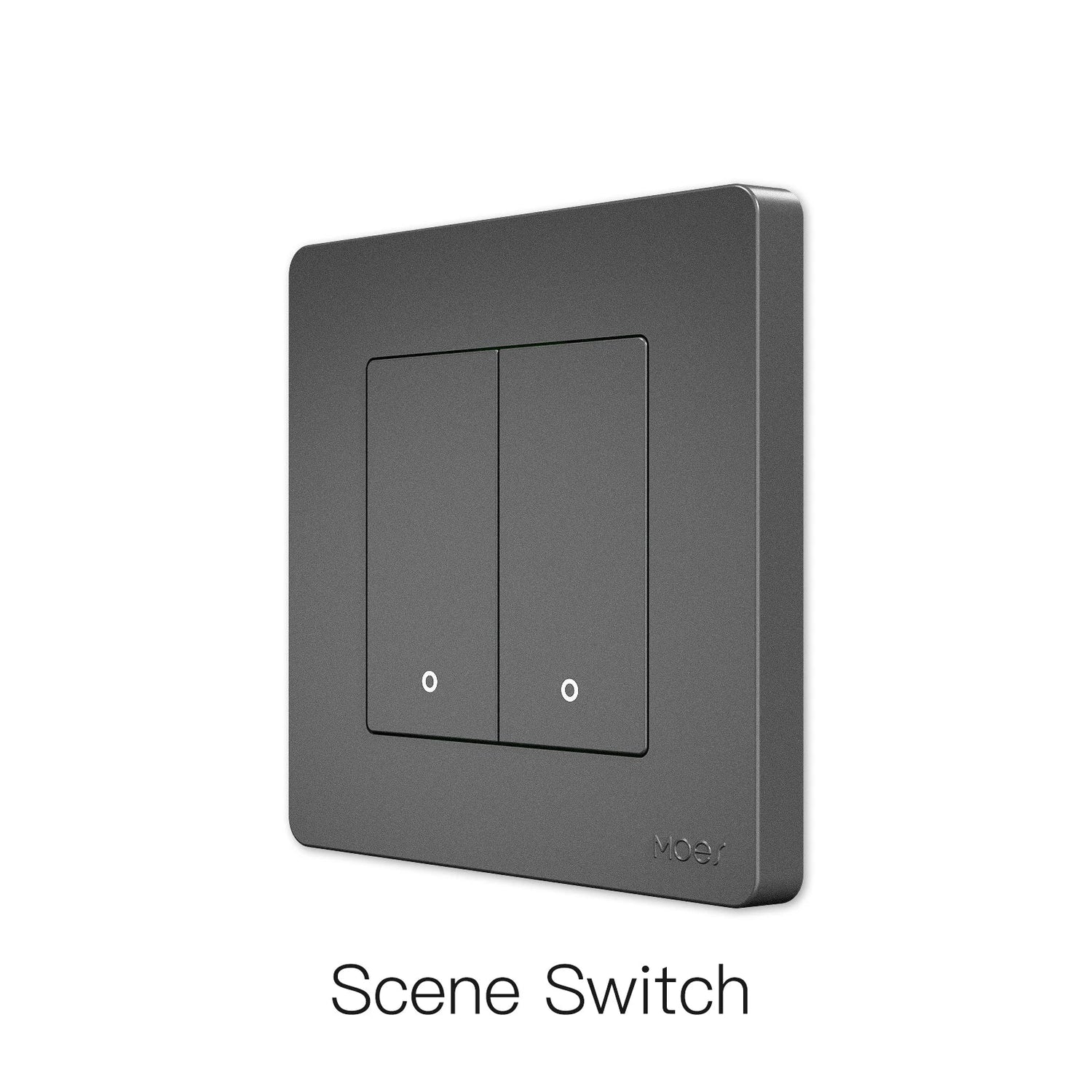 Gray double light switch.