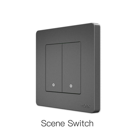Gray double light switch.