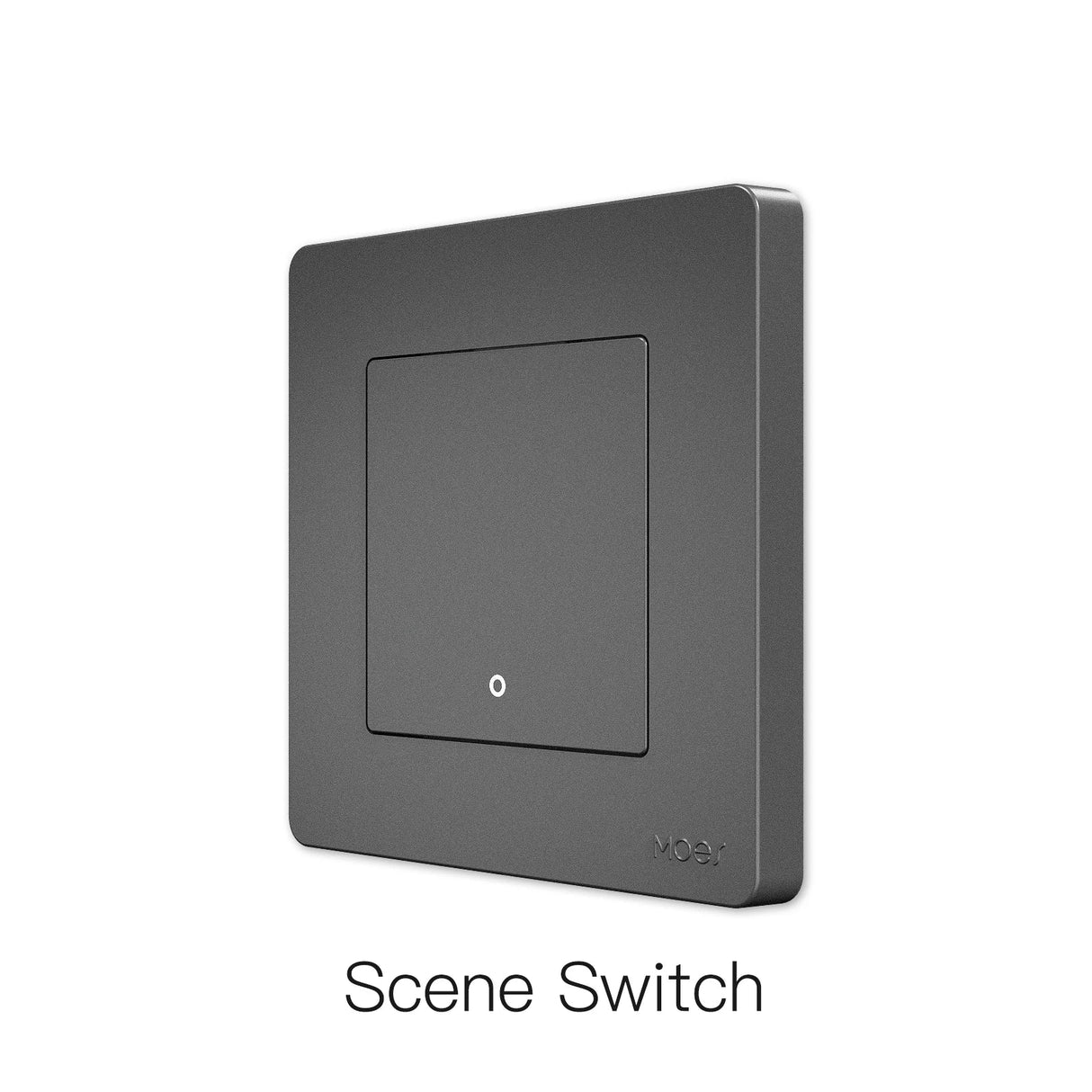 Gray square scene switch.