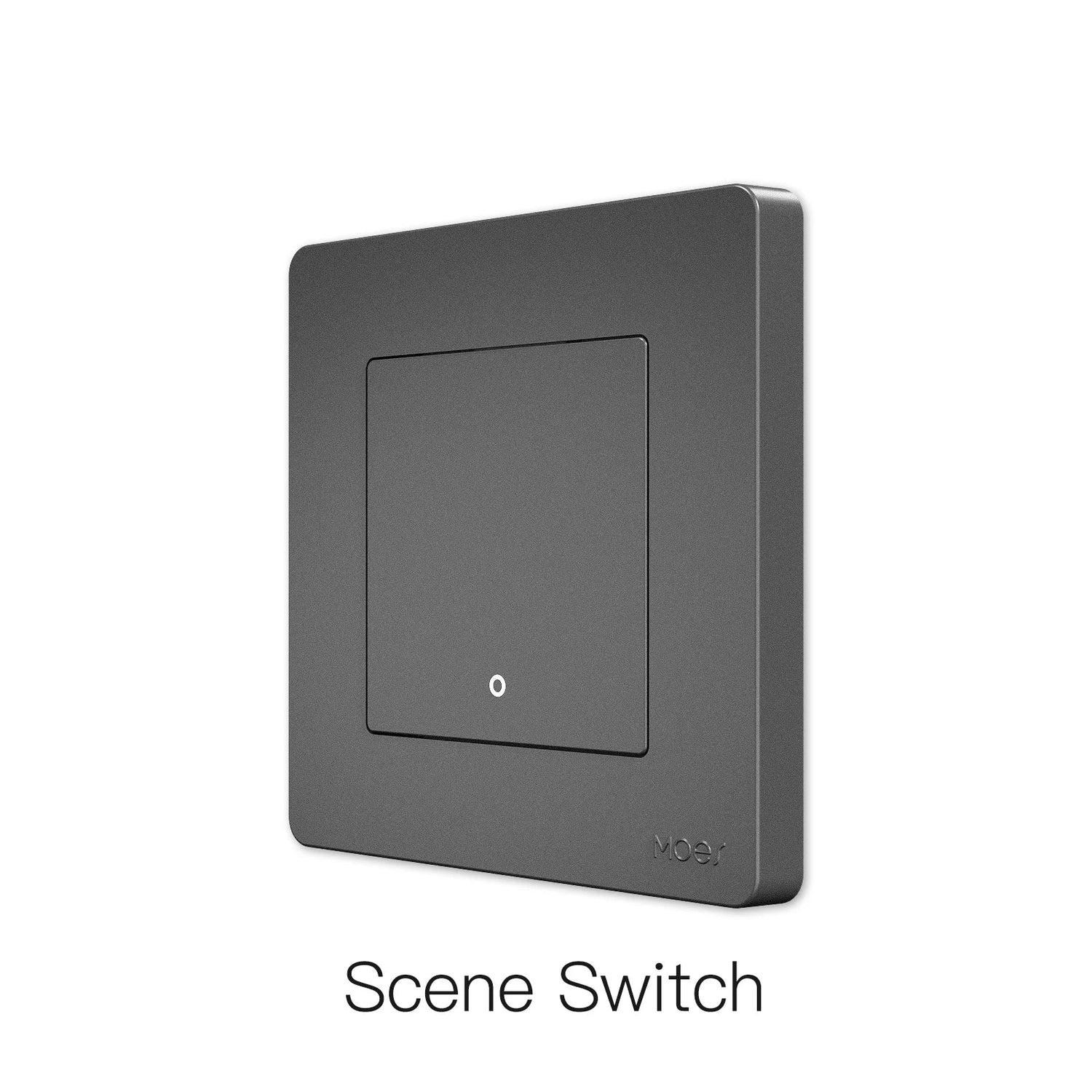 Gray square scene switch.