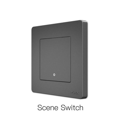 Gray square scene switch.
