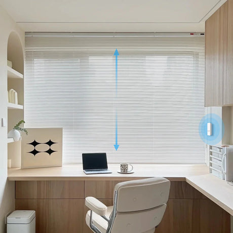 Horizontal window blinds.