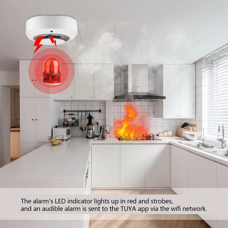 Kitchen fire alarm system.