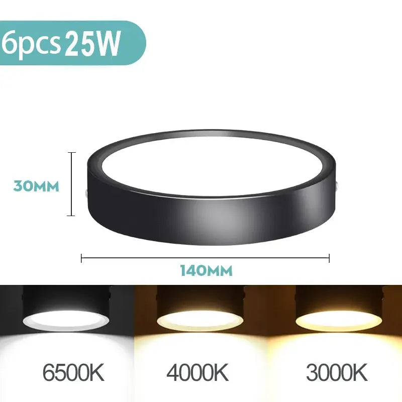 Leds for the ceiling light