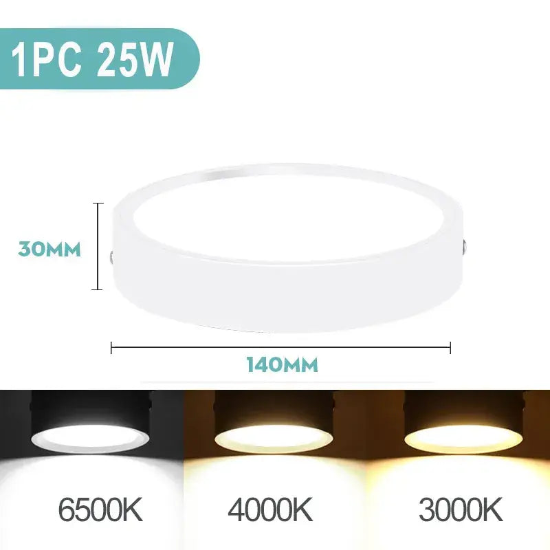 Leds for the ceiling light