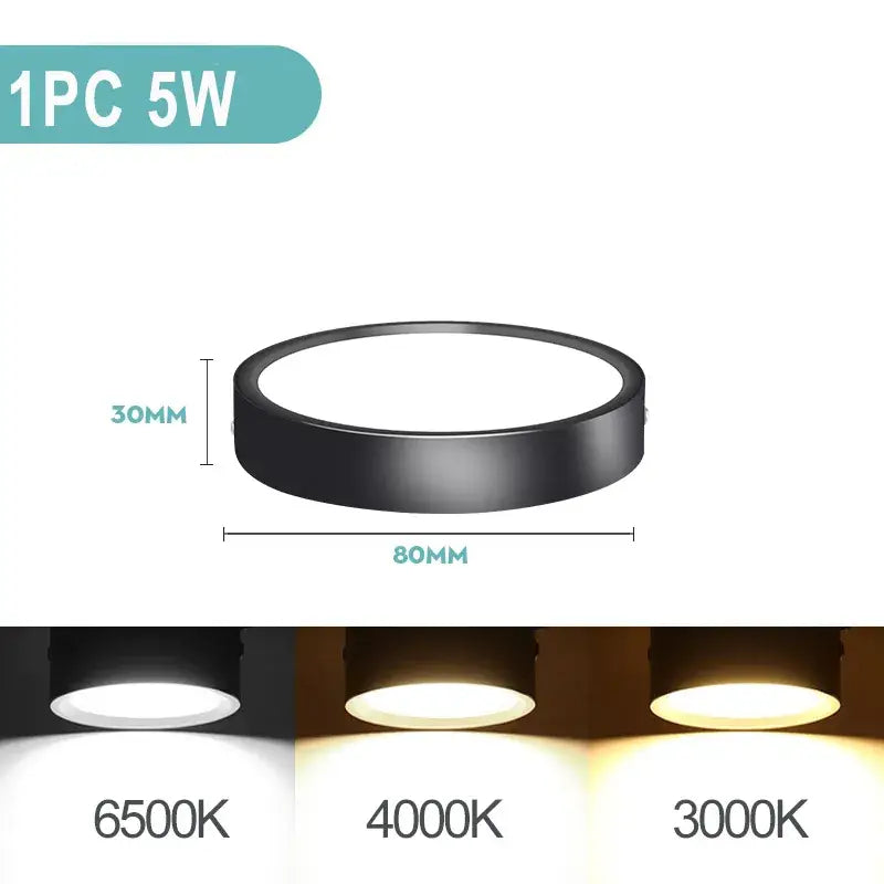 Leds for the ceiling light