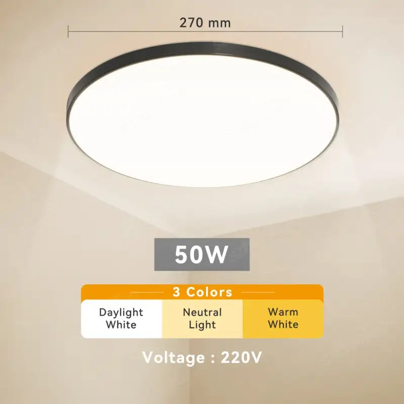 A ceiling light with a white light