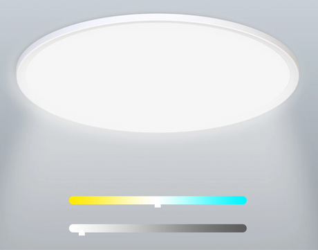 Round ceiling light fixture.