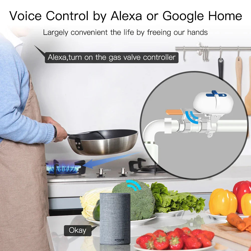 Smart gas valve controller.