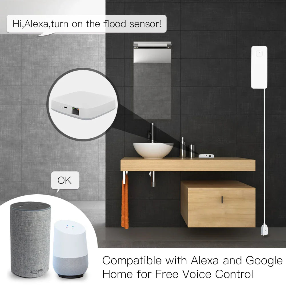 Smart home flood sensor setup.