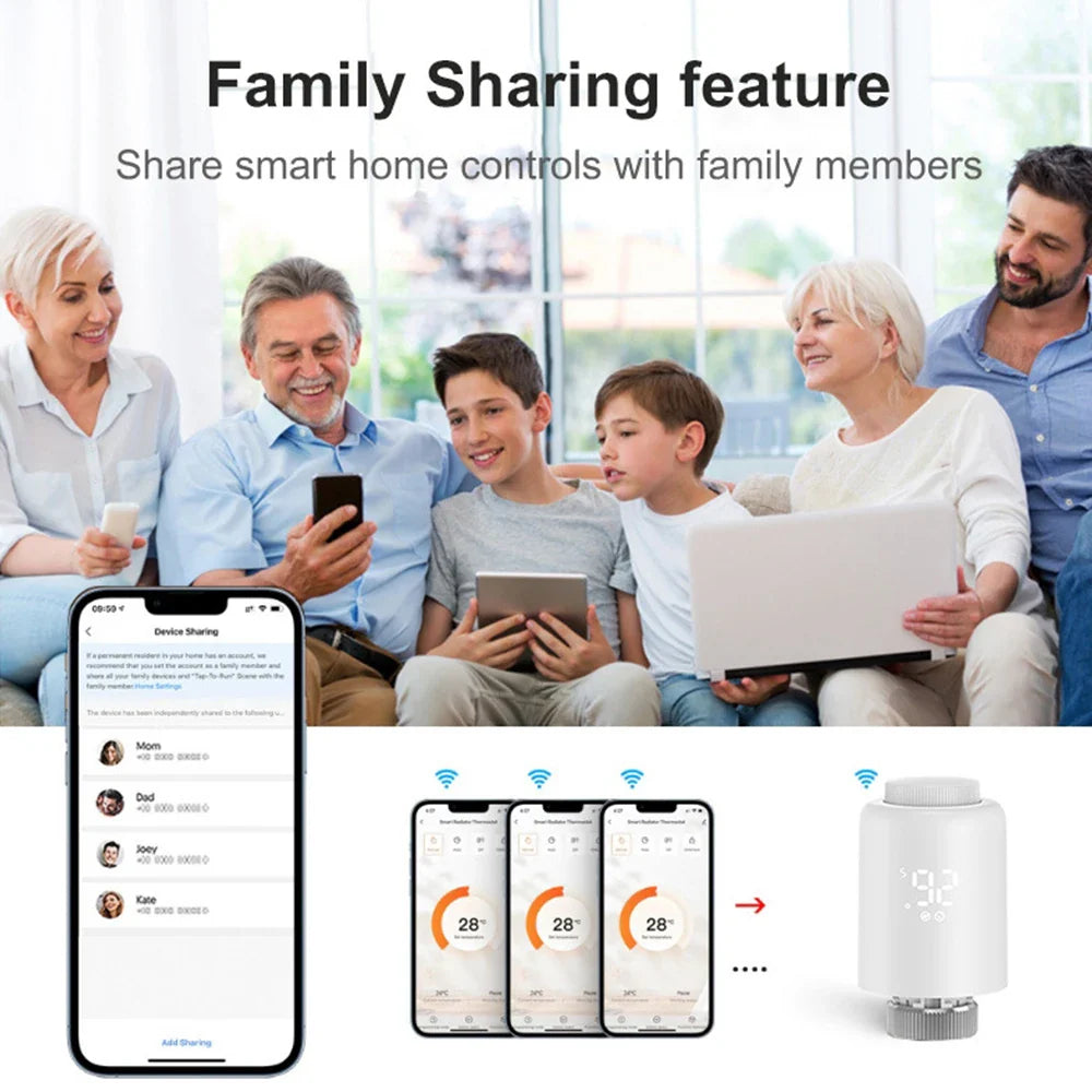 Smart home thermostat and control interface.