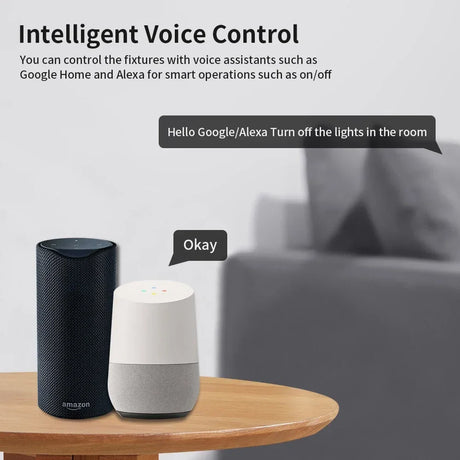 Smart home voice assistants.