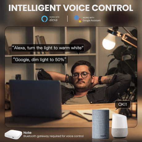 Smart home voice control setup.