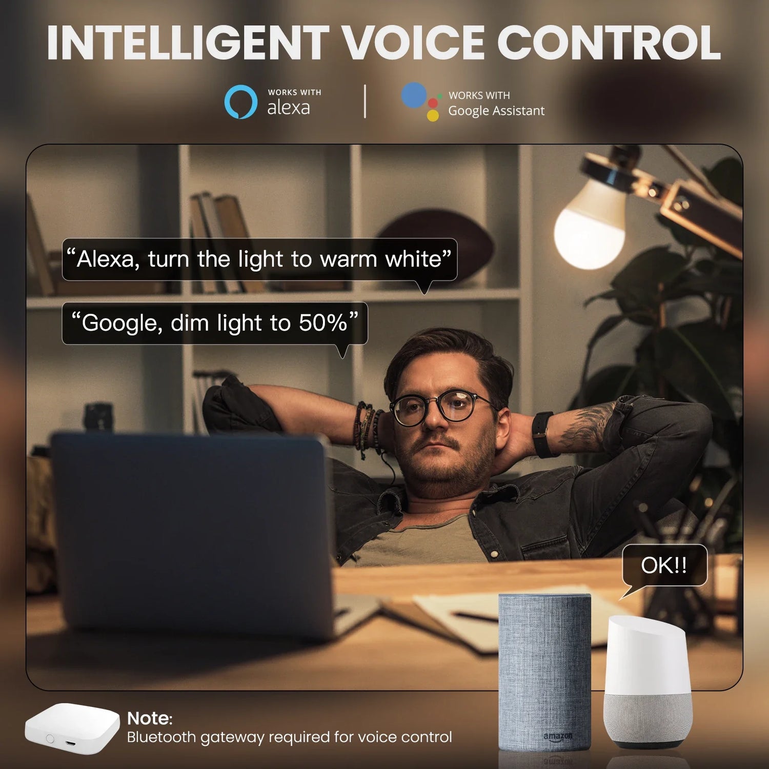 Smart home voice control system.