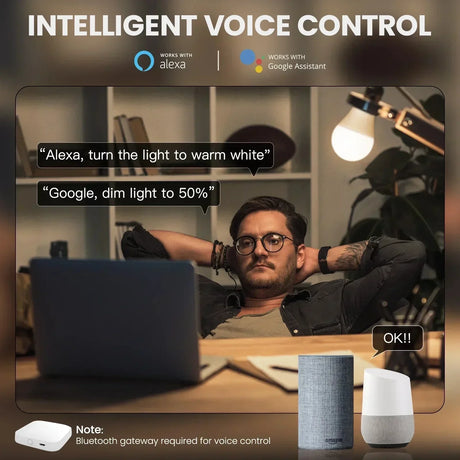 Smart home voice control setup.