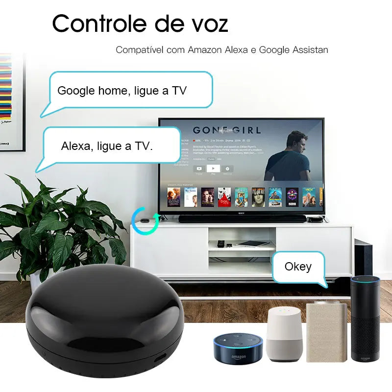 Smart home voice control setup.