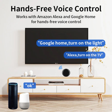 Smart home voice control setup.