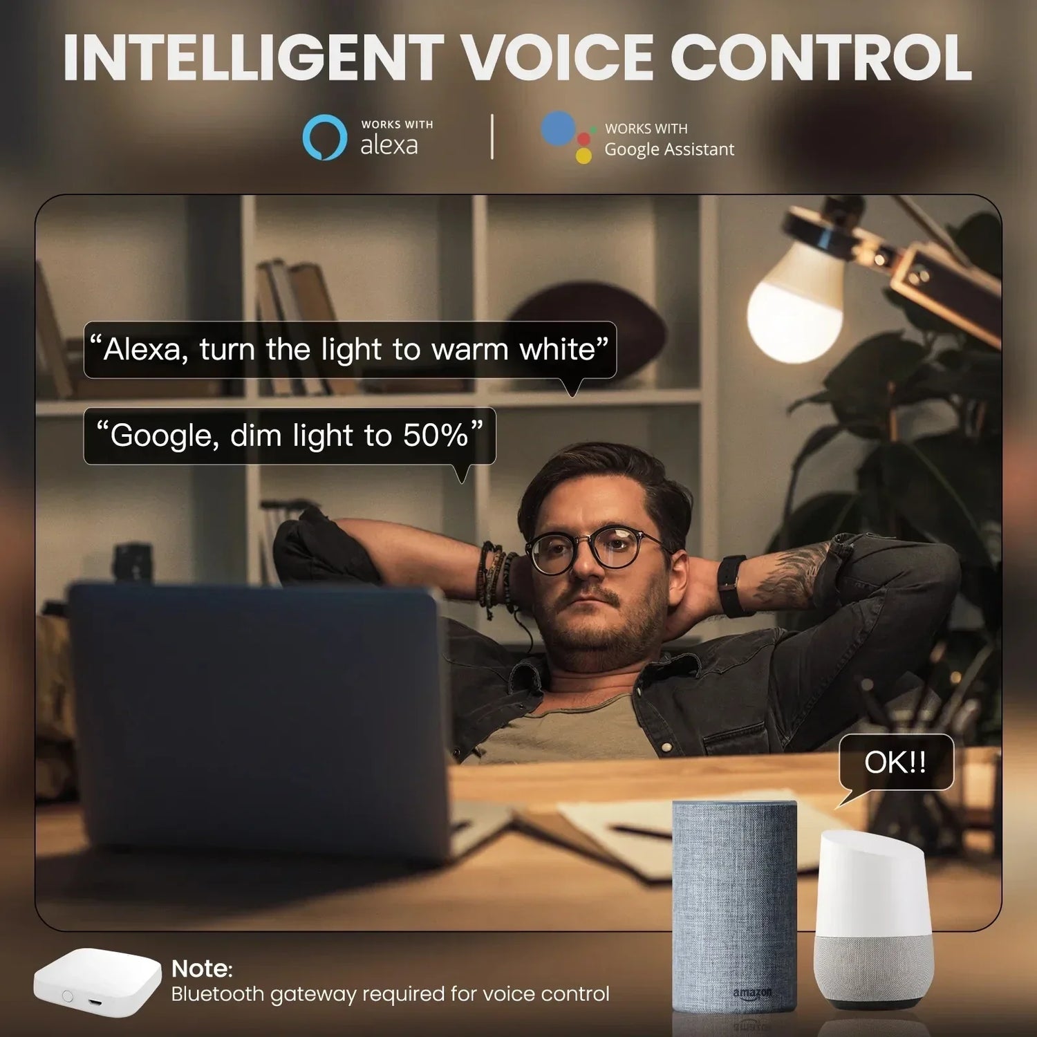 Smart home voice control setup.