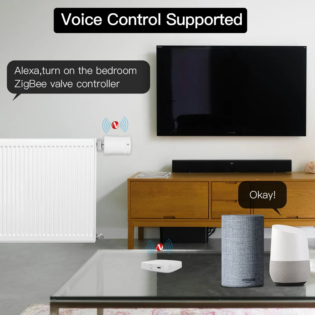 Smart home voice-controlled heating system.