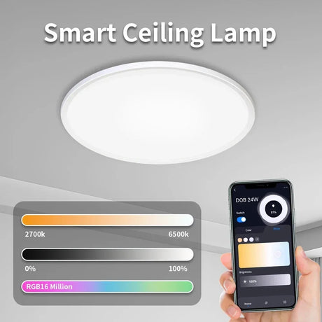 Smart ceiling lamp with color control.