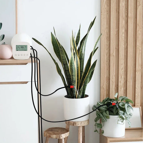 Automatic plant watering system.