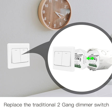 Two-gang dimmer switch and module.