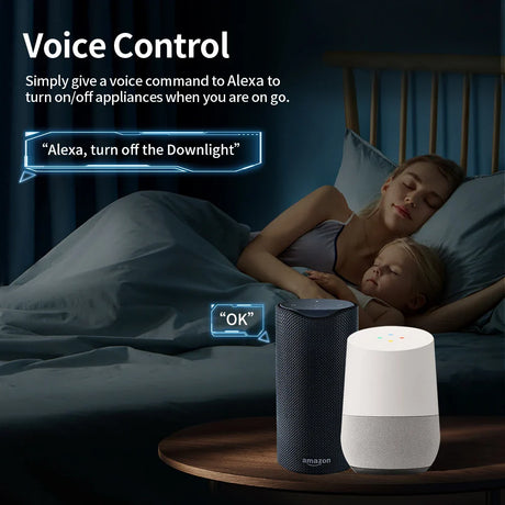 Two smart speakers.