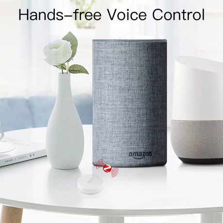 Voice-activated smart home devices.