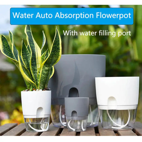 water absorb flower pot