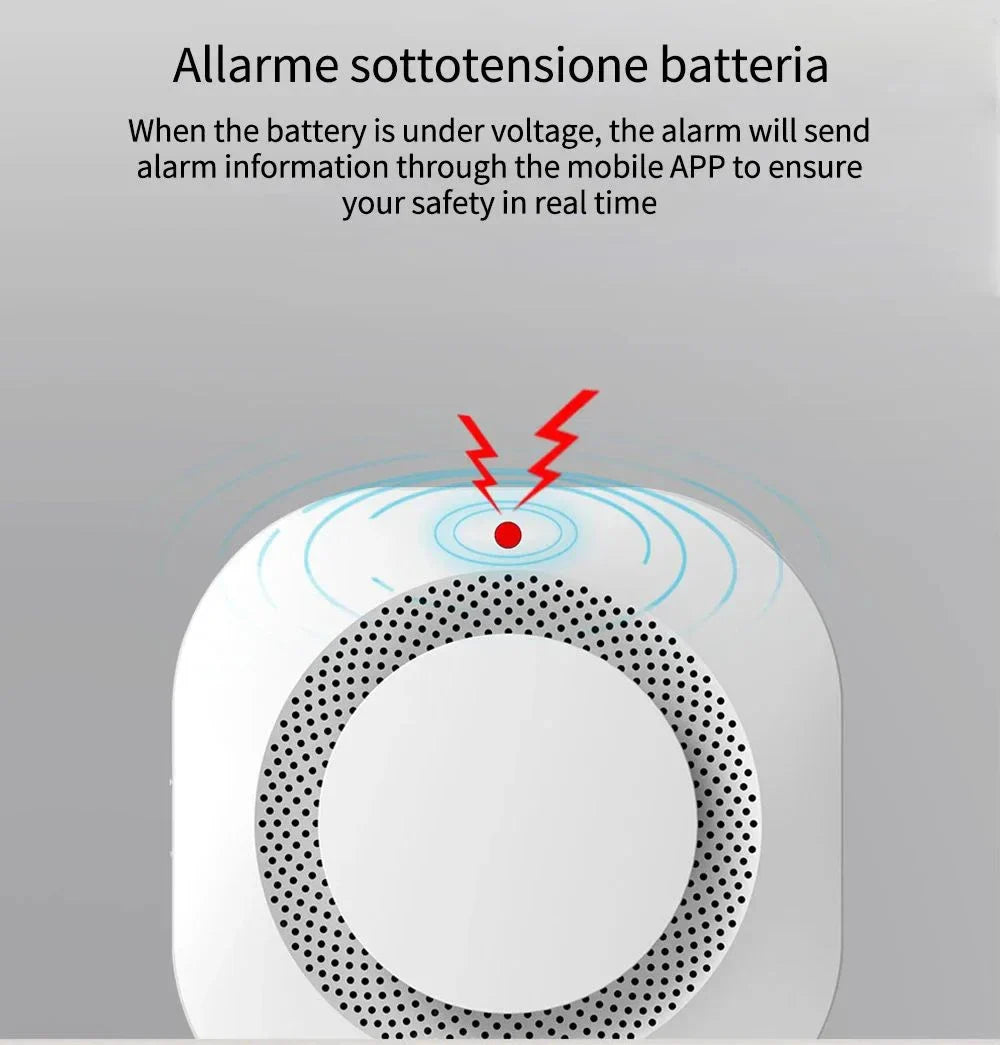 White battery alarm device.