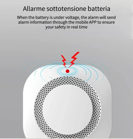 White battery alarm device.