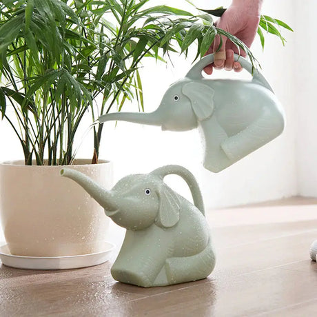 a plant in a pot with an elephant fig