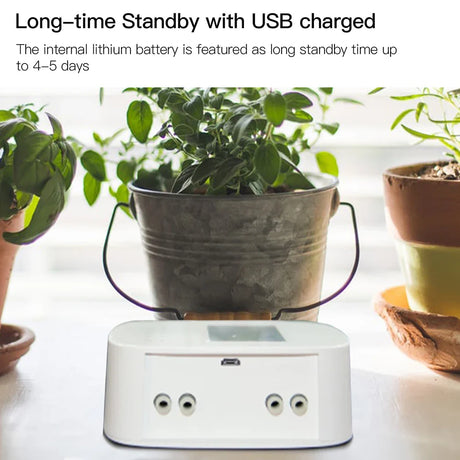 White plant watering device.