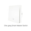 White smart light switch.