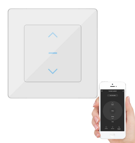 White smart switch and smartphone.
