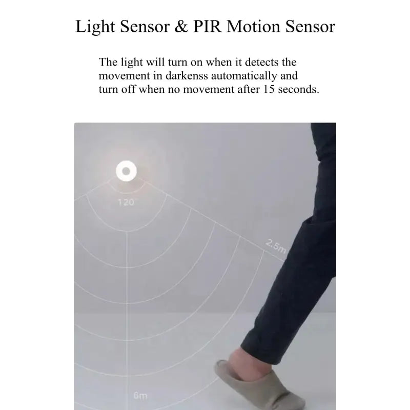 light sensor & motion the light will turn when the movement is moved