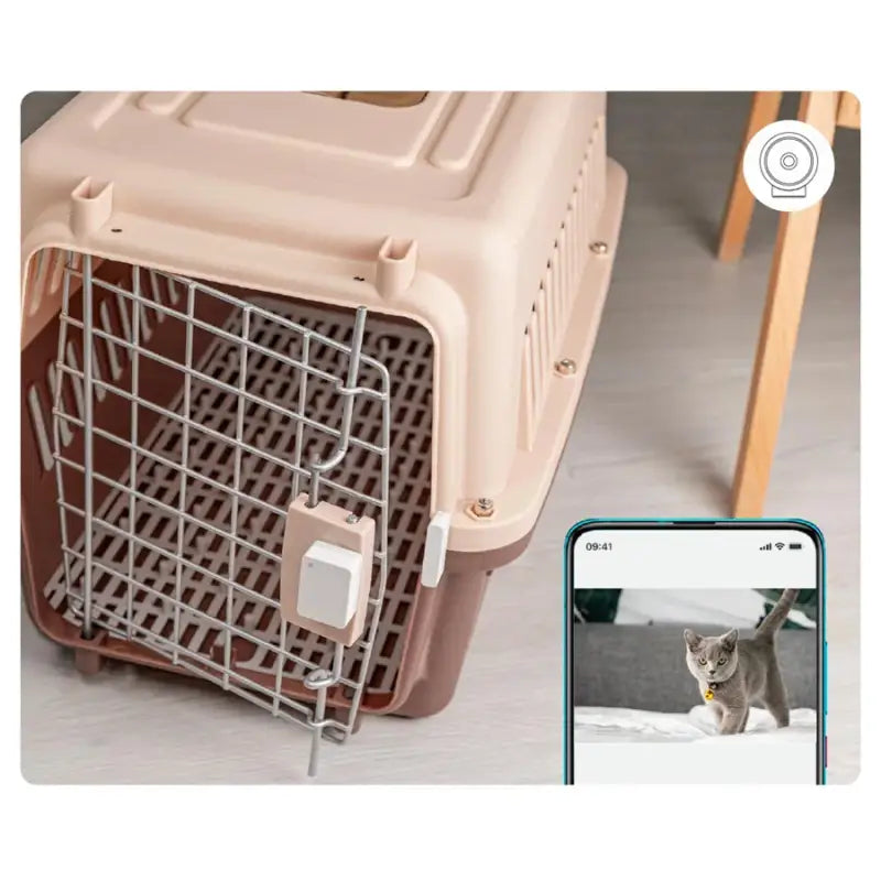 a cat is looking at a dog in a cage