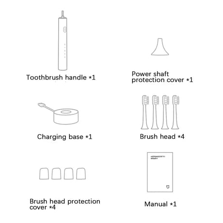a diagram of the different types of toothbrushs