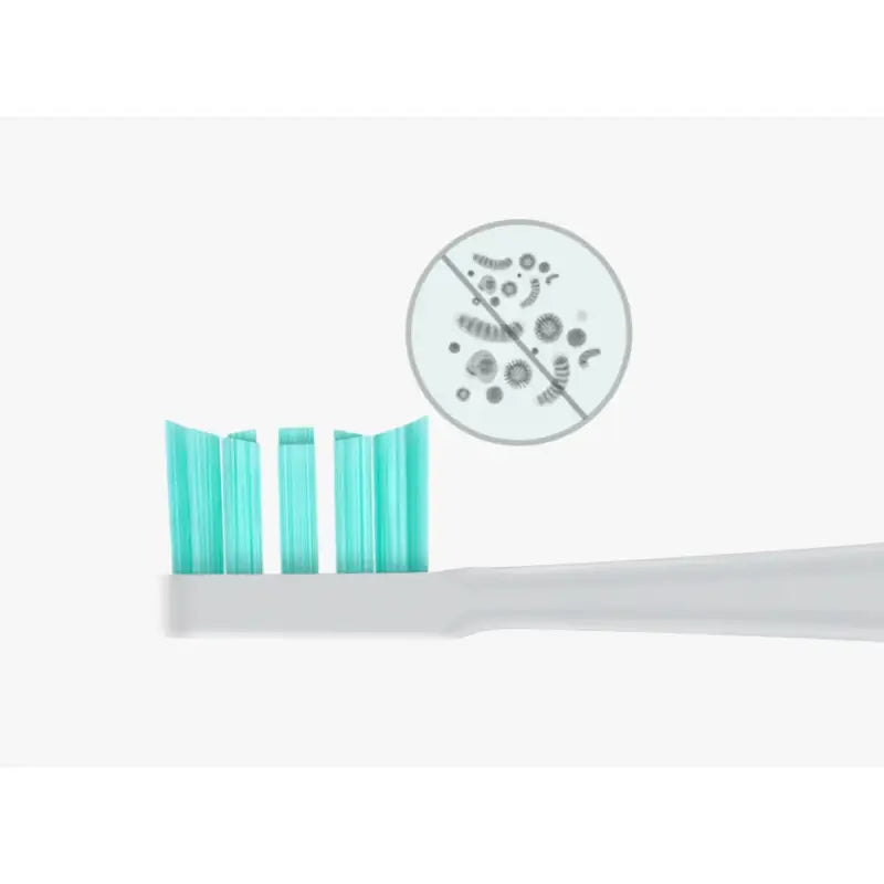 a toothbrush with a toothbrush and toothbrushs