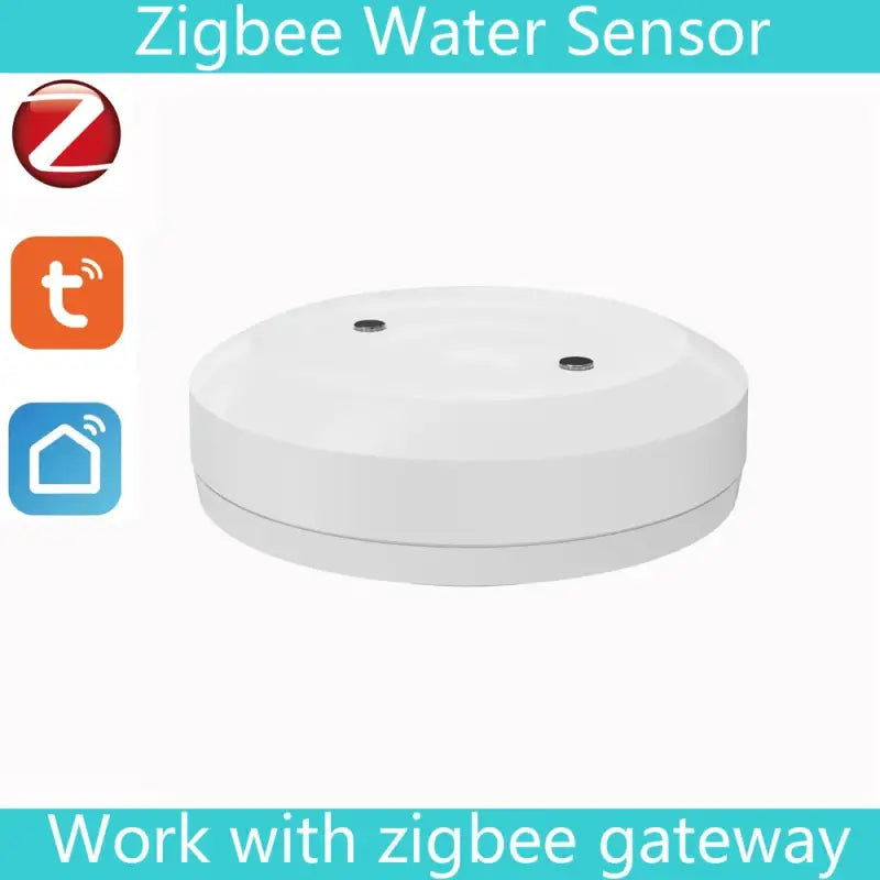 Zbee water sensor
